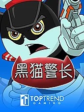 detective-black-cat